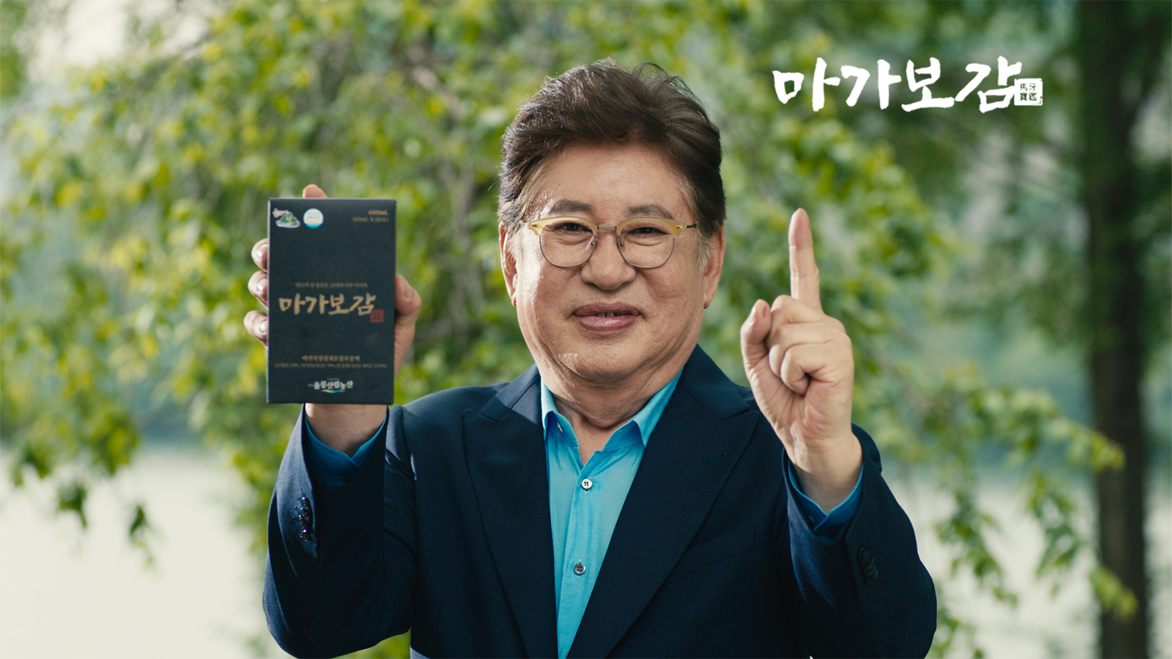 마가보감